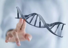 小細胞肺癌需要做基因檢測嗎？