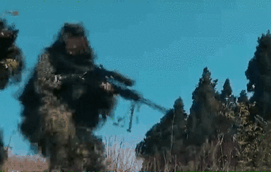 突入，擊斃！直擊武警特戰(zhàn)反劫持演練！