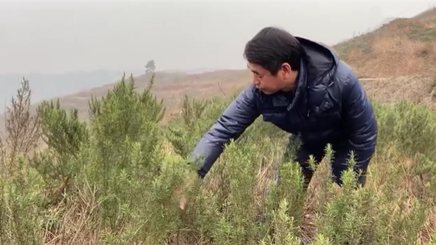 新春走基層｜脫貧后，駐村扶貧隊長在干啥？