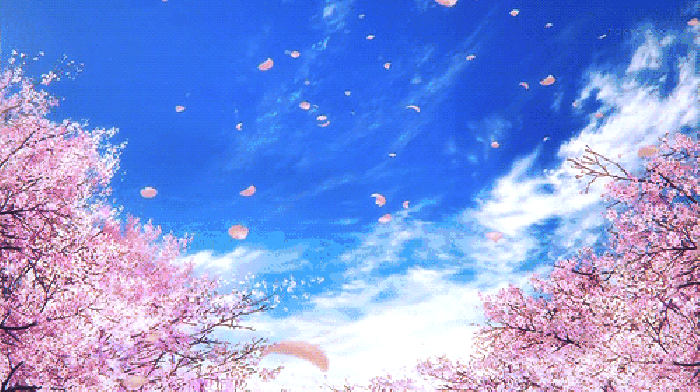 寧波這個地方早櫻花開成海，滿足你對春天的所有想象