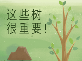 這些樹很重要！