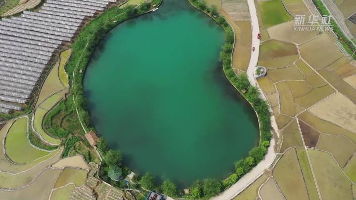 稻田新插，這里的山村美翻了！