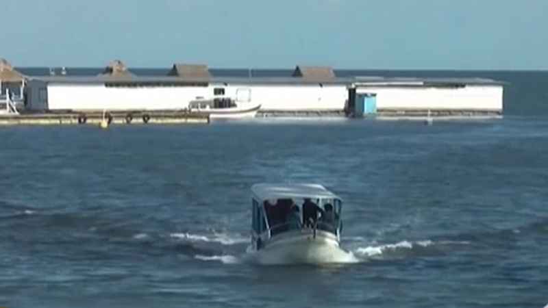 整頓！ 非法營(yíng)業(yè) 印尼巴厘島解救七只寬吻海豚