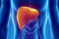 【健康解碼】轉(zhuǎn)氨酶輕度升高要不要緊？