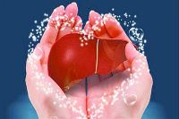 【健康解碼】轉(zhuǎn)氨酶正常肝臟就一定正常嗎？