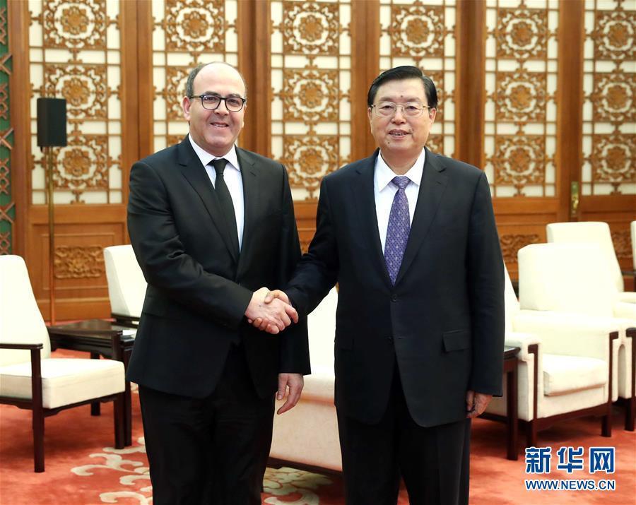 12月20日，全國(guó)人大常委會(huì)委員長(zhǎng)張德江在北京人民大會(huì)堂會(huì)見摩洛哥參議長(zhǎng)本希馬。新華社記者劉衛(wèi)兵攝