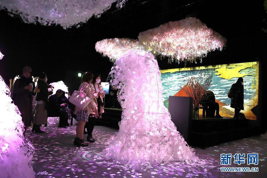 （國(guó)際）（1）日本東京：寒冬時(shí)節(jié)賞&ldquo;繁花&rdquo; 