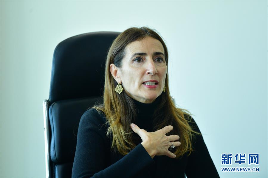 （國際 圖文互動）（1）專訪：應(yīng)對氣候變化應(yīng)從談判轉(zhuǎn)向行動&mdash;&mdash;訪2019年聯(lián)合國氣候變化大會主席施密特