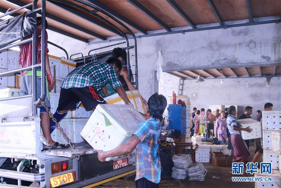 （新華全媒頭條&middot;圖文互動(dòng)）（7）中國(guó)&mdash;東盟自貿(mào)區(qū)：&ldquo;黃金十年&rdquo;塑造世界經(jīng)貿(mào)新格局