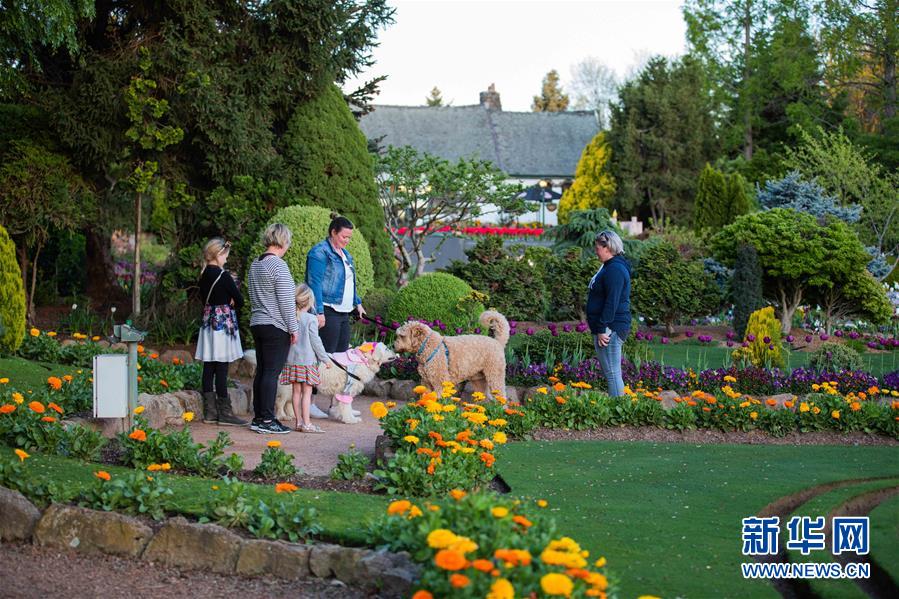 （XHDW&middot;圖文互動）（3）通訊：&ldquo;無處不在的鮮花為我們帶來歡樂和希望&rdquo;&mdash;&mdash;&ldquo;小人國&rdquo;里的堪培拉花展