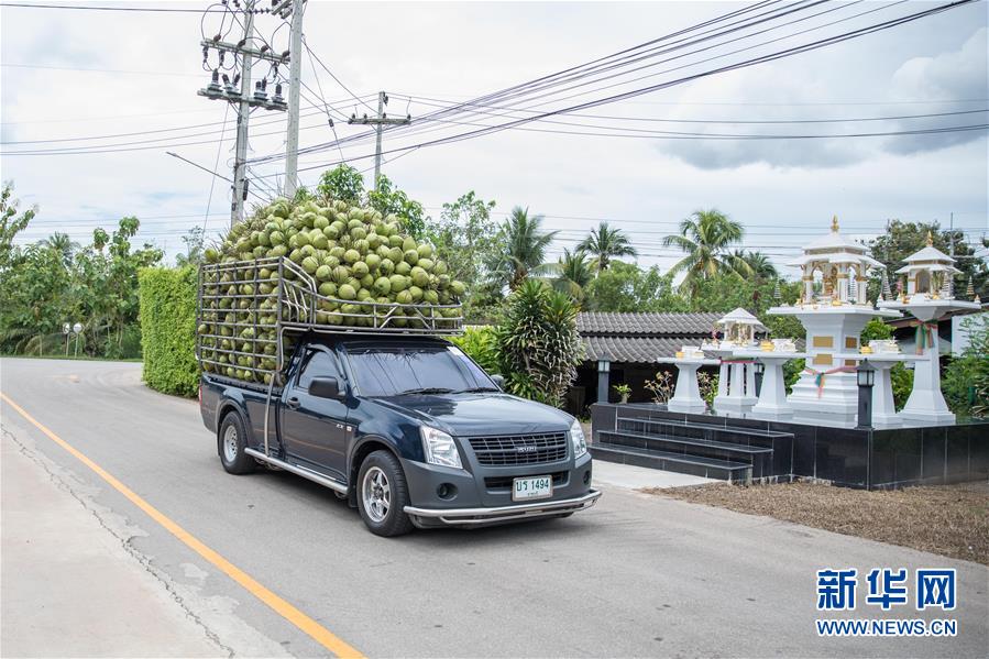 （第三屆進(jìn)博會(huì)&middot;圖文互動(dòng)）（1）通訊：椰香飄進(jìn)進(jìn)博會(huì) 市場(chǎng)開放共繁榮&mdash;&mdash;一名泰國椰商的心聲