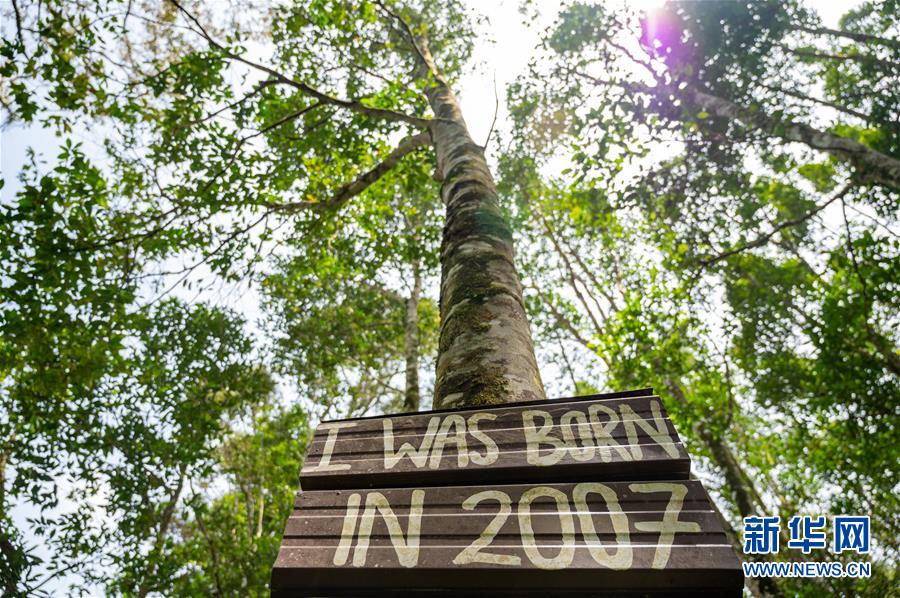 （第三屆進(jìn)博會&middot;圖文互動）（4）專訪：進(jìn)博會提供了一個共享中國發(fā)展機遇的平臺