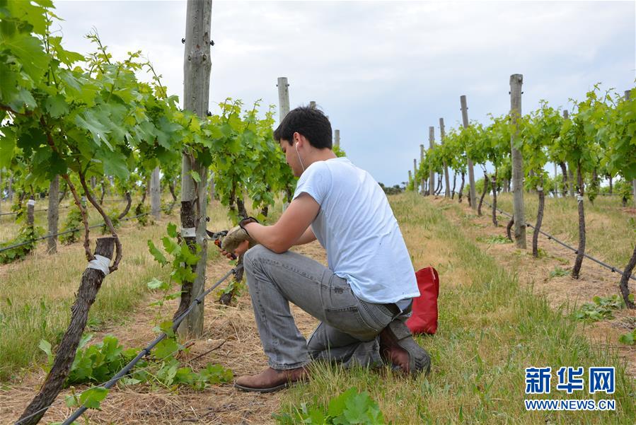 (第三屆進(jìn)博會(huì)·圖文互動(dòng))(7)專訪:進(jìn)博會(huì)是了解中國市場的好機(jī)會(huì)——訪澳大利亞諾瓦維塔葡萄酒集團(tuán)創(chuàng)始人卡臣