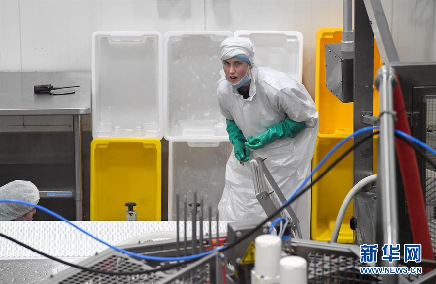 （第三屆進(jìn)博會&middot;圖文互動）（2）通訊：新西蘭的進(jìn)博會味道，甜