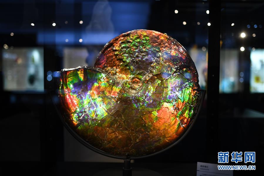 （第三屆進博會&middot;新華視界）（1）觀展體驗：多彩&middot;絢爛&middot;未來感