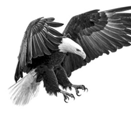 誰是世界秩序的真正破壞者？