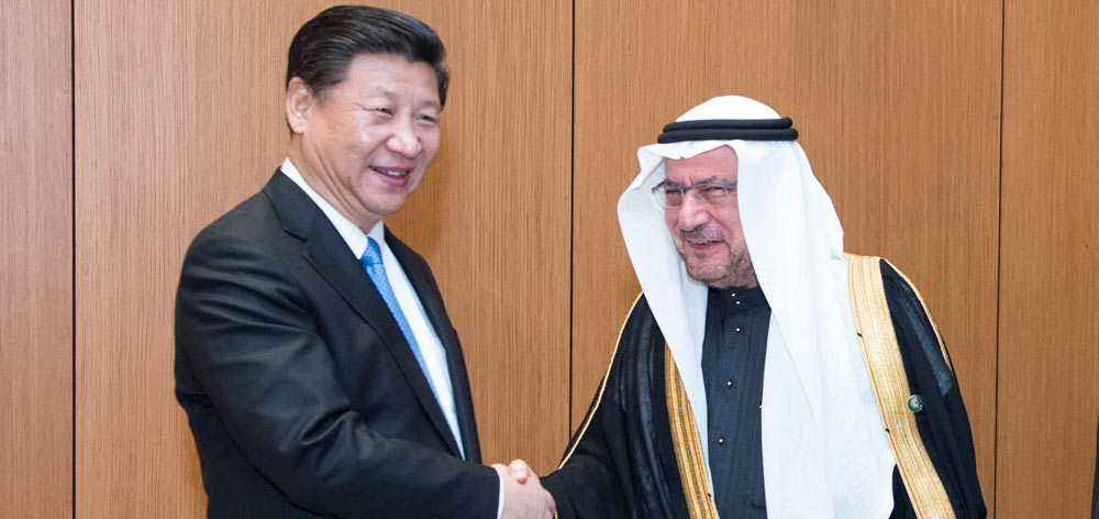 習(xí)近平會(huì)見(jiàn)伊斯蘭合作組織秘書長(zhǎng)伊亞德