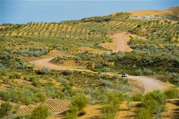 沙海綠洲好休憩&mdash;&mdash;庫布其激活&ldquo;美麗經(jīng)濟(jì)&rdquo;