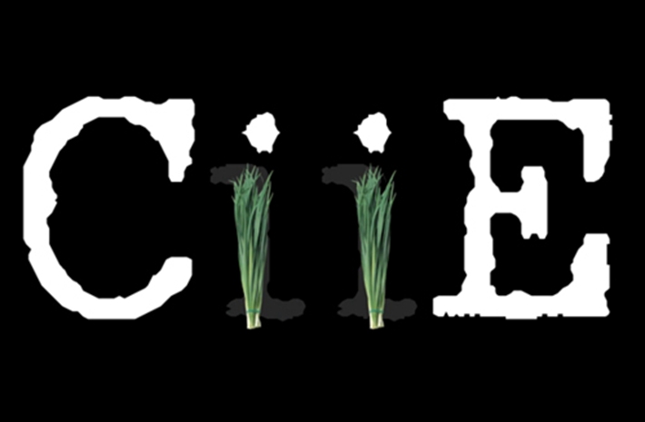 新華社創(chuàng)意動感視頻：考眼力！數(shù)數(shù)多少樣進(jìn)口貨