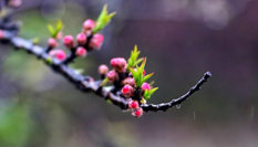 隨心而行，走走停停始終精彩。