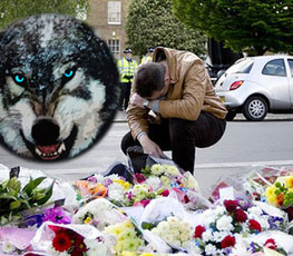 血案頻發(fā) "獨(dú)狼"緣何兇猛？